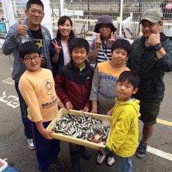 マリーナシティ海釣り公園　サビキでイワシの釣果