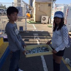 和歌山マリーナシティ海釣り公園 サビキで豆アジ&イワシ好調です