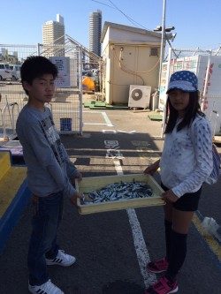 和歌山マリーナシティ海釣り公園 サビキで豆アジ&イワシ好調です