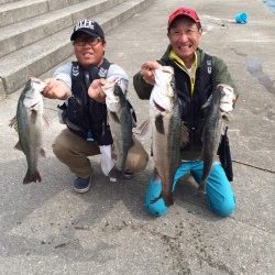 和歌山マリーナシティ海釣り公園 ノマセで良型シーバス4匹！