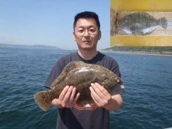 須磨海釣り公園　投げ釣りでカレイ42.3cm