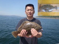 須磨海釣り公園　投げ釣りでカレイ42.3c…
