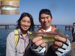 神戸市立須磨海づり公園 ベラ記録賞！