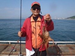 神戸市立須磨海づり公園 タコ掛け仕掛けでマダコ650ｇ