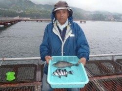 神戸市立須磨海づり公園 投稿