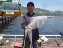 神戸市立須磨海づり公園 エギングでアオリイ…