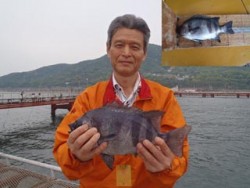 神戸市立須磨海づり公園 投稿　落とし込みで…