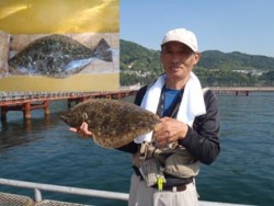 須磨海釣り公園　ヒラメ50cmの釣果