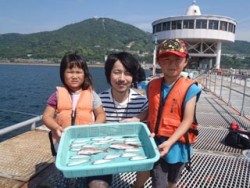 神戸市立須磨海づり公園 サビキでサバとマダイ