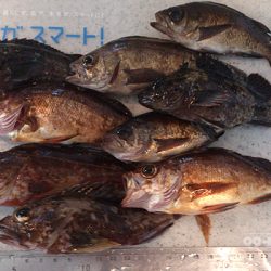 ファミリーフィッシングin林崎