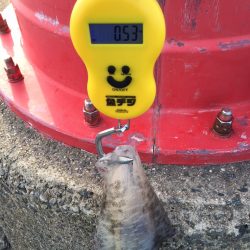 春なのに・・・