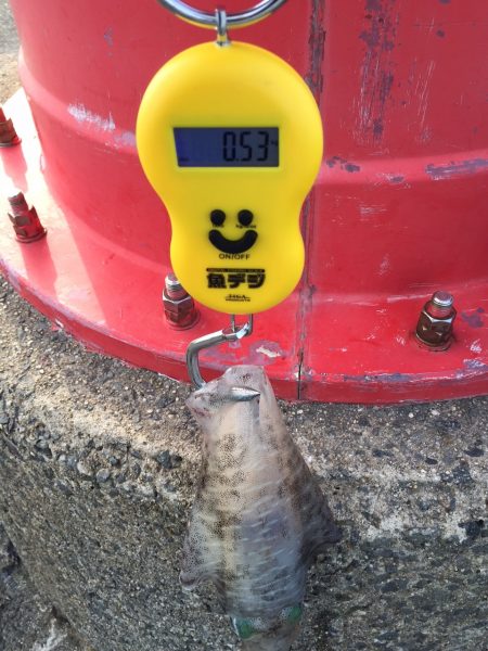 春なのに・・・