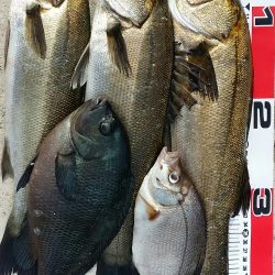 キスはダメでした