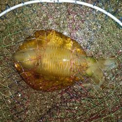 雨の中粘りました！