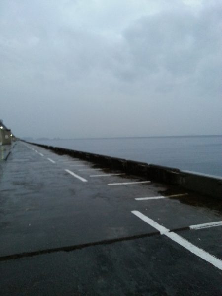 雨でもタチウオ