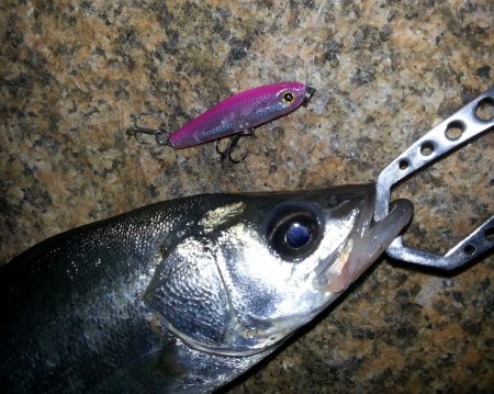 プラグ系縛り！