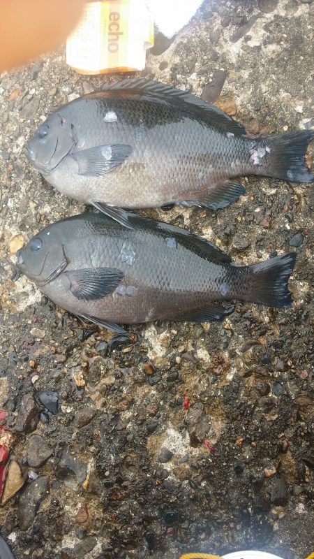 昼前からちょっと