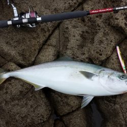 三尾沖磯 ショアジギング