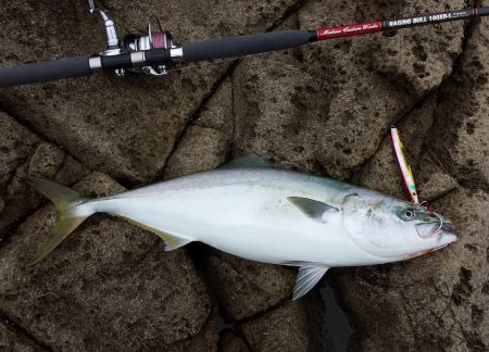 三尾沖磯 ショアジギング