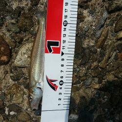 やっと‥…………