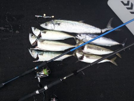 メタルマルゲーム！