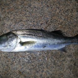 爆風チャレンジ！