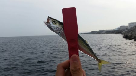 結構楽しいサバゲー