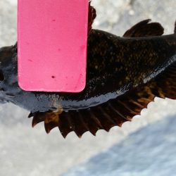 小さいけど楽しいです！！