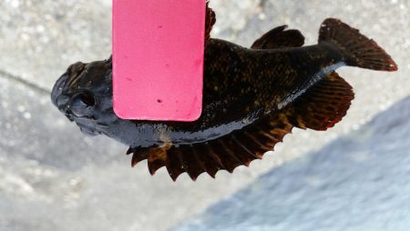 小さいけど楽しいです！！