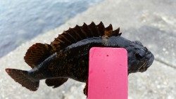 小さいけど楽しいです！！