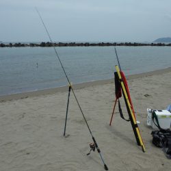由良浜でライトタックルでチョイ投げ