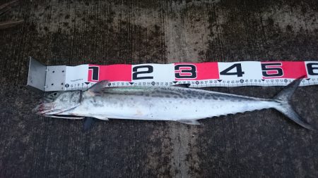 スローなフリーフォール