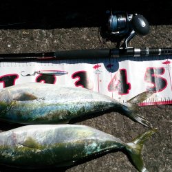 一投目で癒やされました。