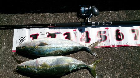 一投目で癒やされました。