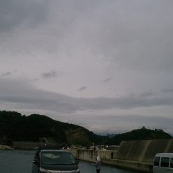 ファミリーフィッシング