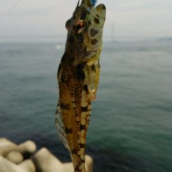 用事帰りにちょっとだけ