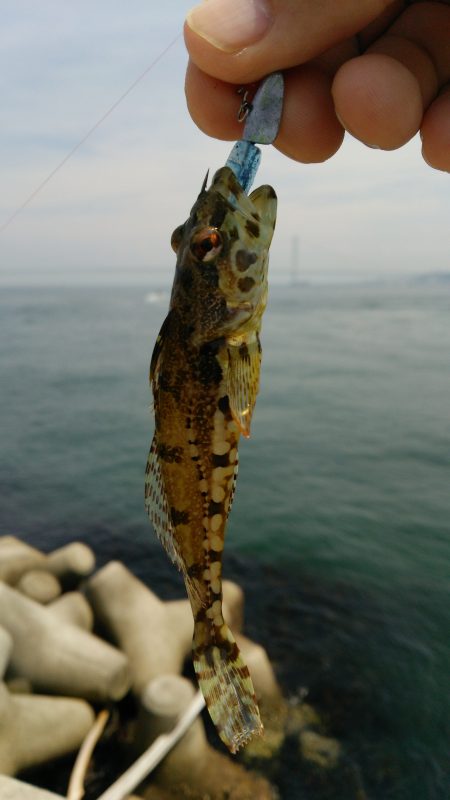 用事帰りにちょっとだけ