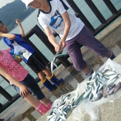 豆アジが沢山釣れました