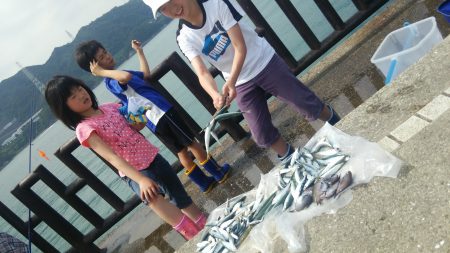 豆アジが沢山釣れました