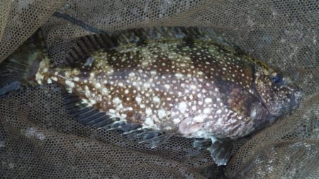 河口にてフカセ釣り