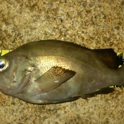 オフセットのススメ