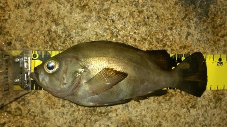 オフセットのススメ