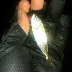 サーフアジング？