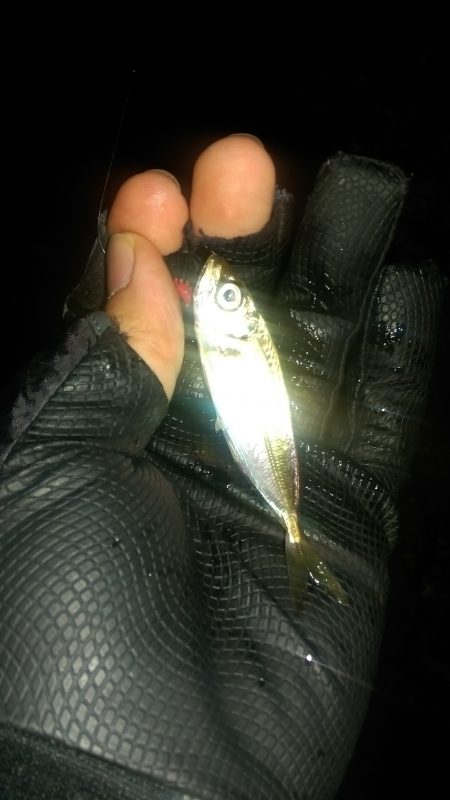 サーフアジング？