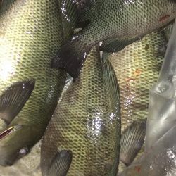 型が不満もまずまず