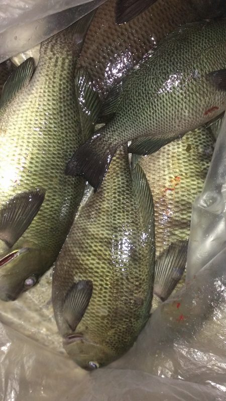 型が不満もまずまず