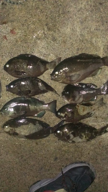 リベンジ成功！のべ竿最高！