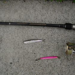 ｼｰｻｲﾄﾞｺｽﾓ