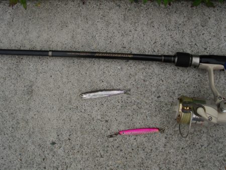 ｼｰｻｲﾄﾞｺｽﾓ