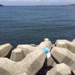 今年度初きっすー